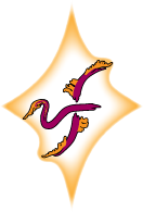 vf logo